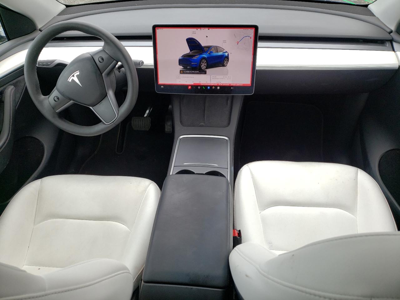 2023 Tesla Model Y VIN: 7SAYGDEE8PF881460 Lot: 82178565