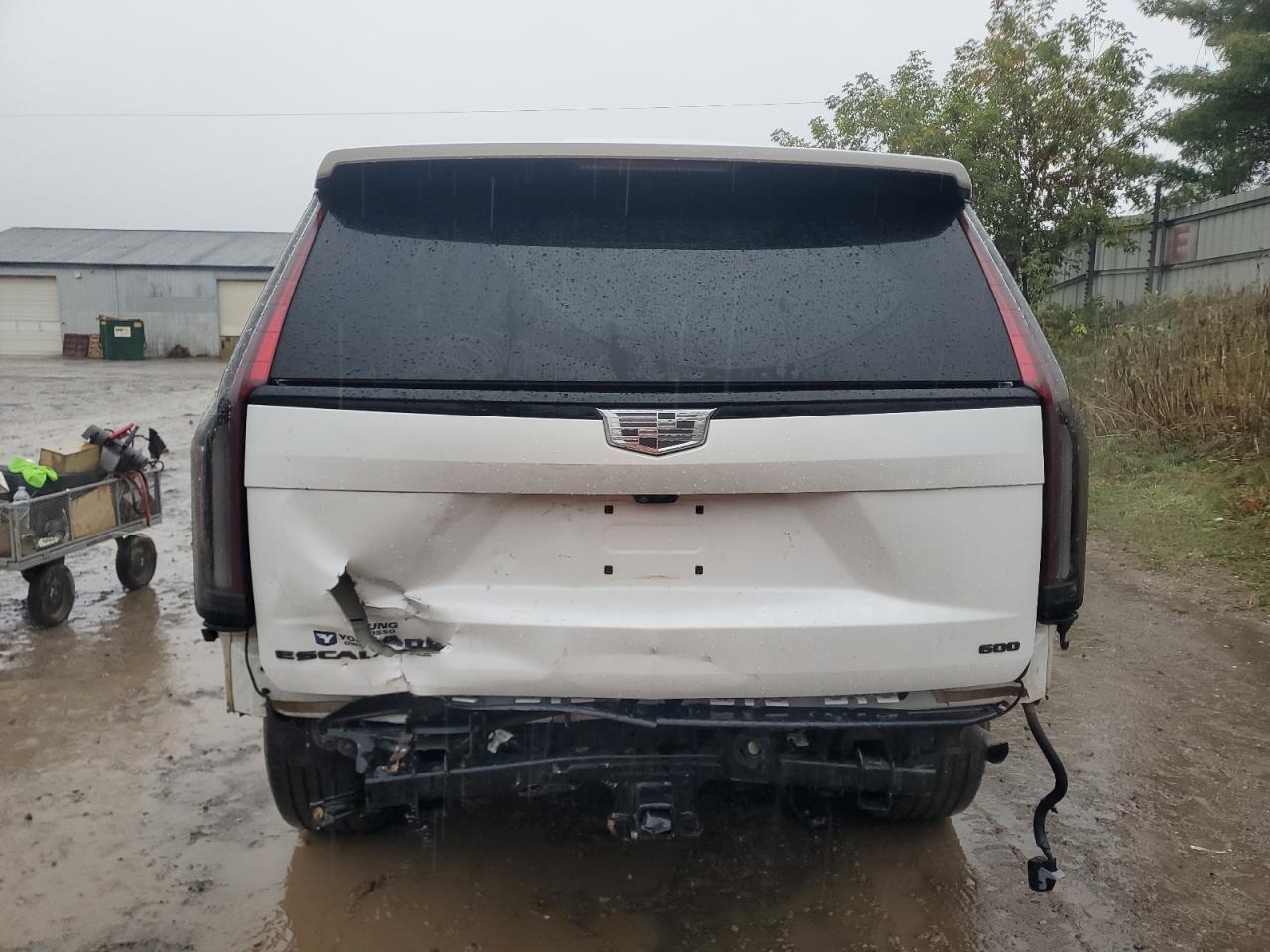 2024 Cadillac Escalade Sport Platinum VIN: 1GYS4GKL5RR132235 Lot: 82260225