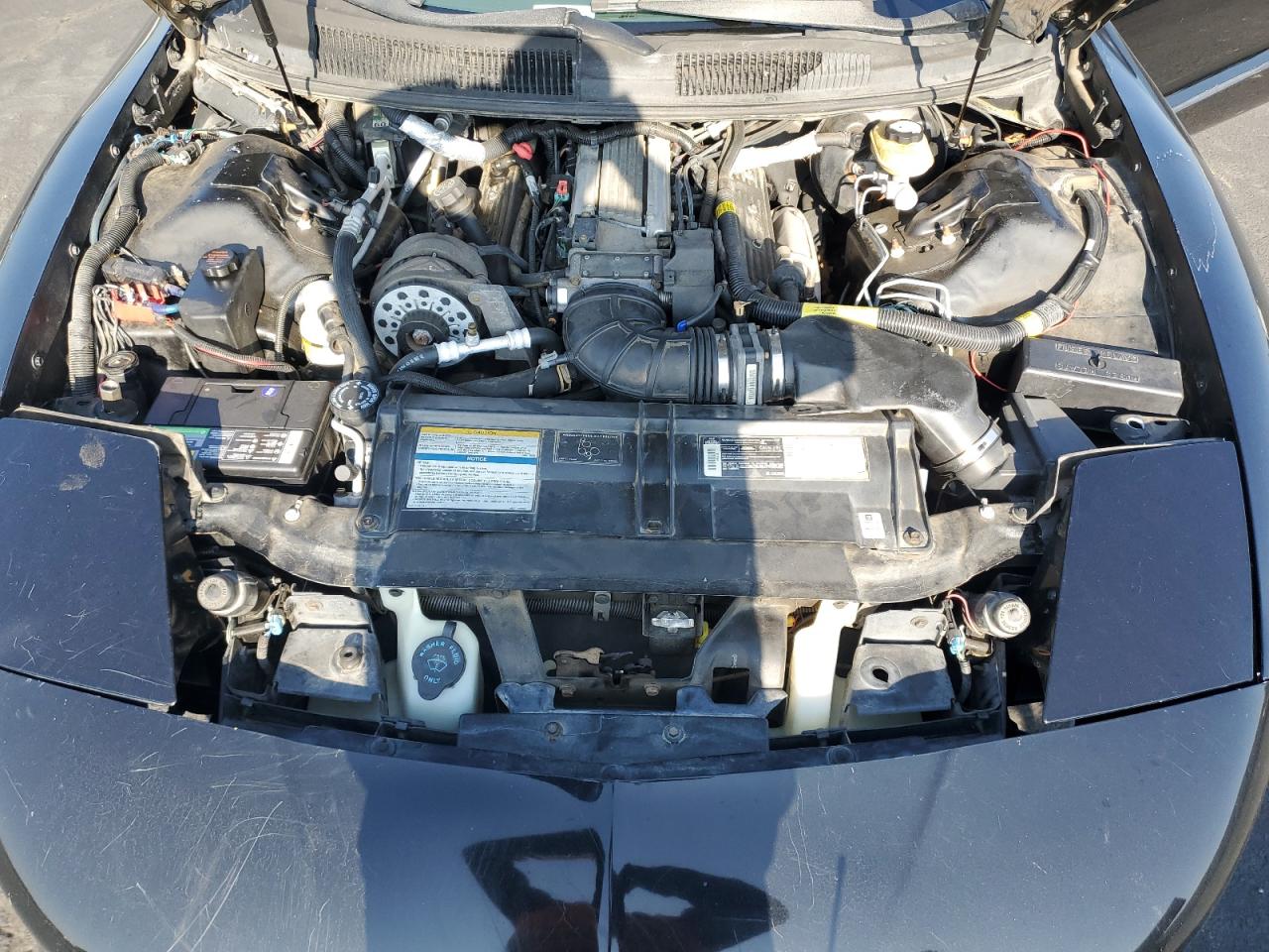 1995 Pontiac Firebird Formula VIN: 2G2FV22P5S2207197 Lot: 87125185