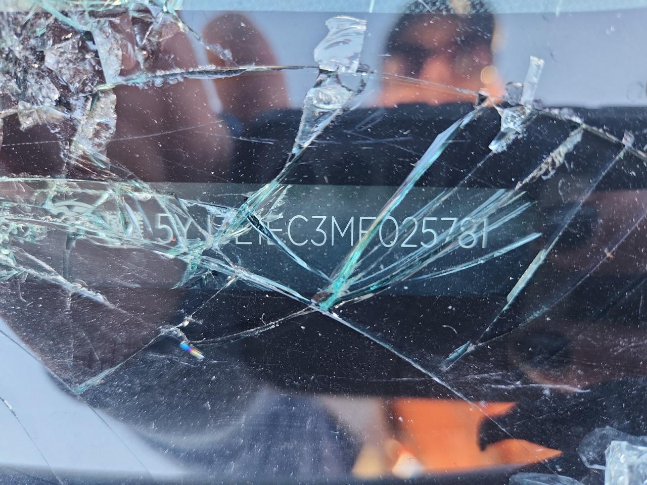 2021 Tesla Model 3 VIN: 5YJ3E1EC3MF025781 Lot: 85923965