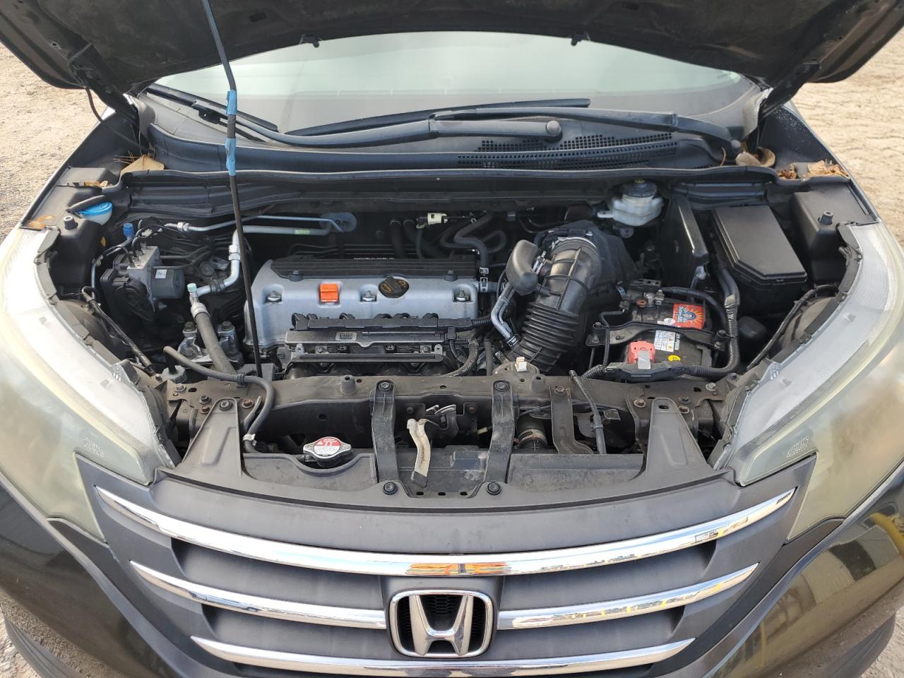 2013 Honda Cr-V Lx VIN: 5J6RM3H31DL038038 Lot: 81861375