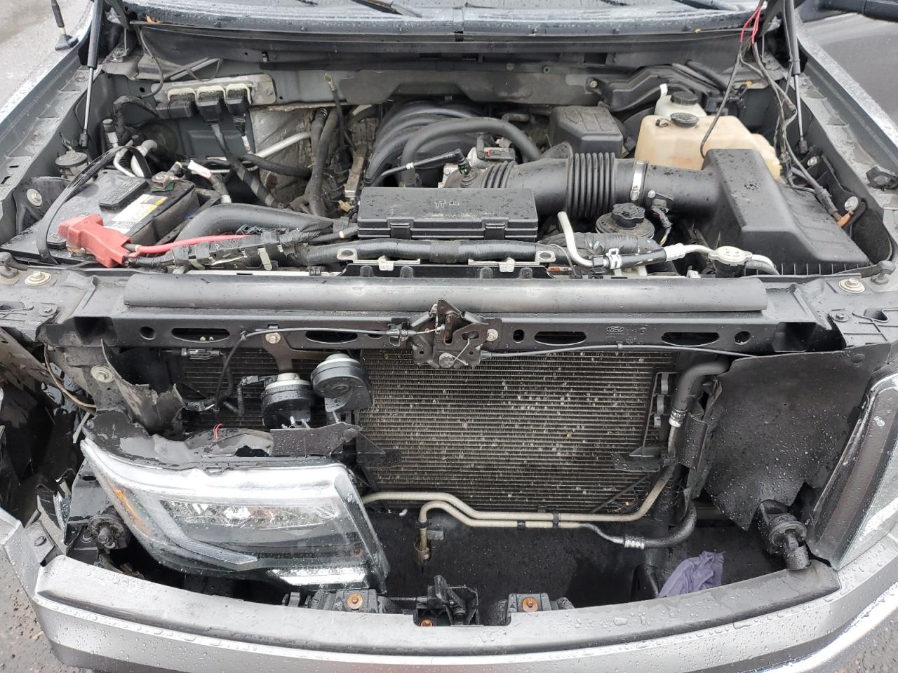 2010 Ford F150 Supercrew VIN: 1FTEW1E8XAFB02185 Lot: 82757705