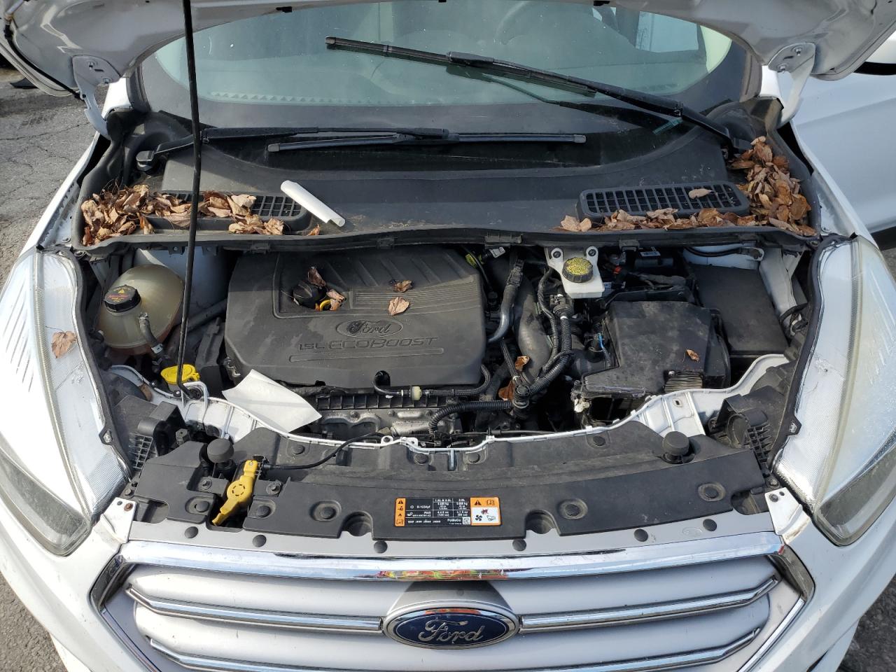 2017 Ford Escape Se VIN: 1FMCU0GD2HUD78783 Lot: 84364065