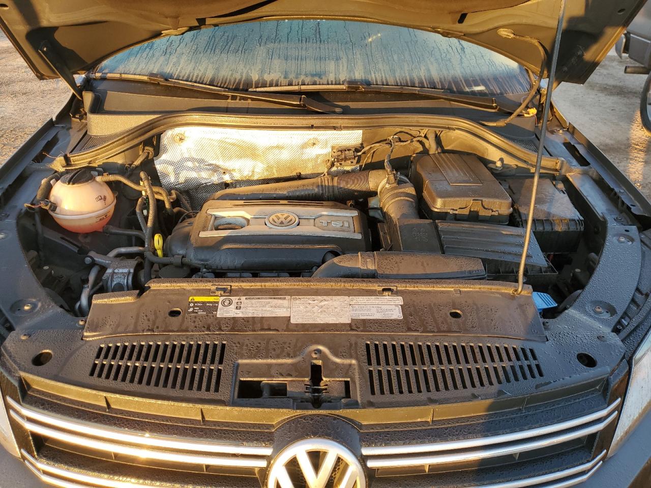 2013 Volkswagen Tiguan S VIN: WVGJV3AXXDW618928 Lot: 84261805