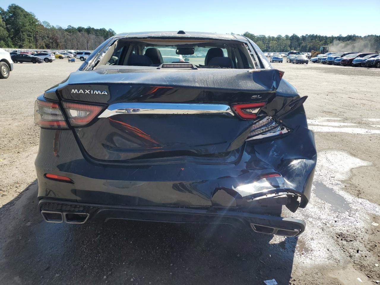 2020 Nissan Maxima Sl VIN: 1N4AA6DV2LC372183 Lot: 87111955