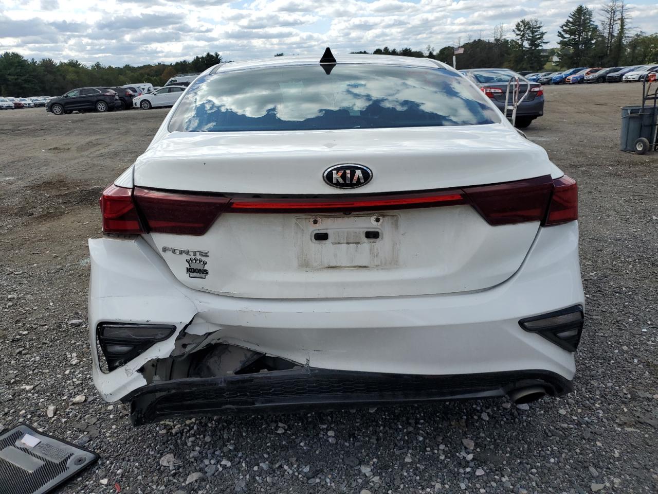 2020 Kia Forte Fe VIN: 3KPF24AD4LE174534 Lot: 85389515