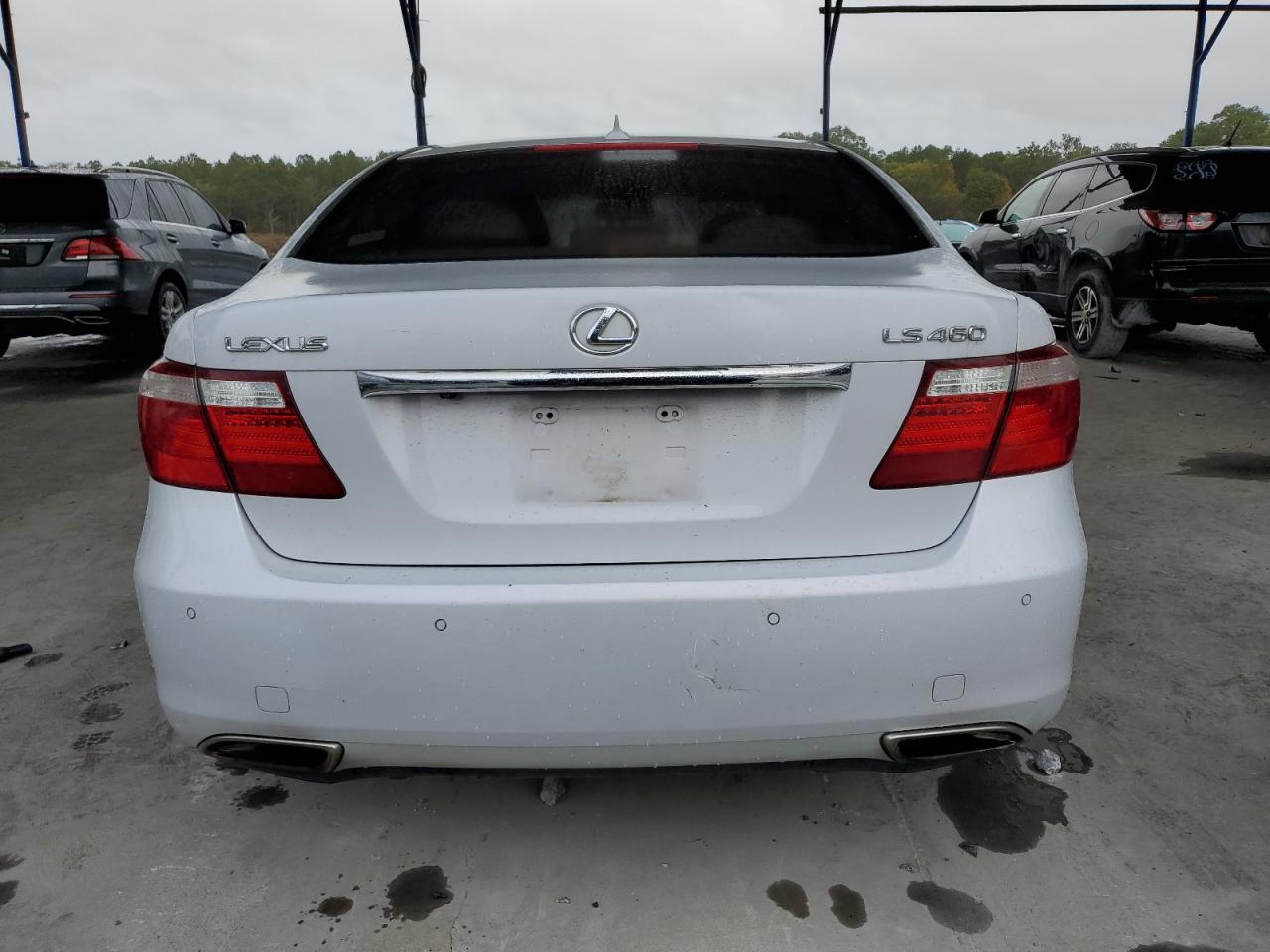 2008 Lexus Ls 460 VIN: JTHBL46F785064892 Lot: 82761925