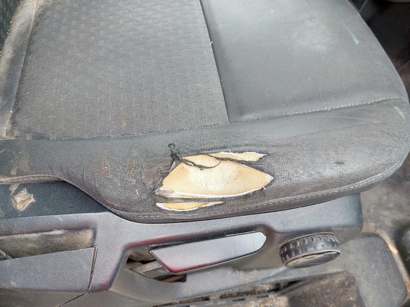 2019 FORD TRANSIT CUSTOM 2.0 ECOBLUE 130PS LOW ROOF TREND VAN