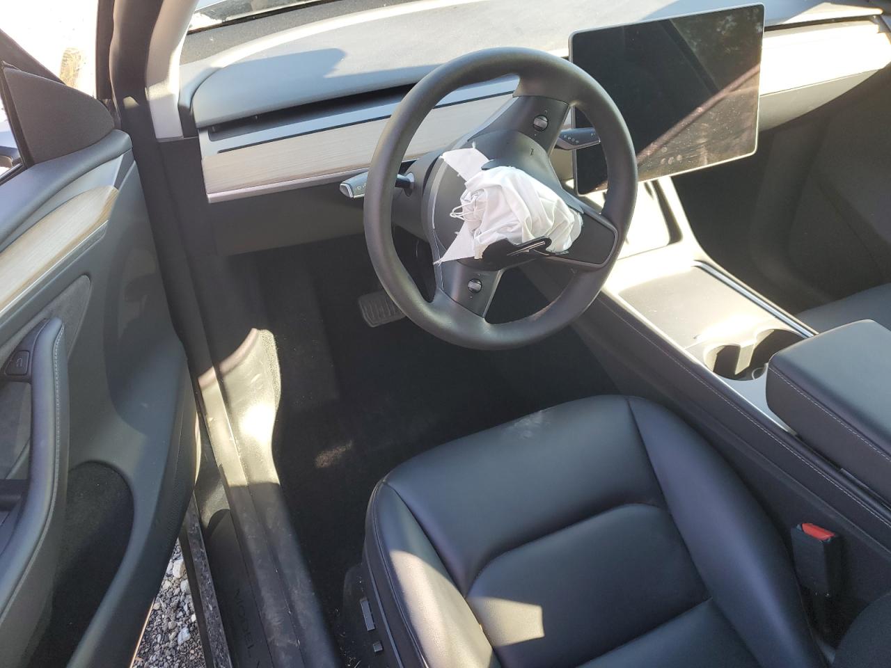 2024 Tesla Model Y VIN: 7SAYGDEE8RA270859 Lot: 89484765