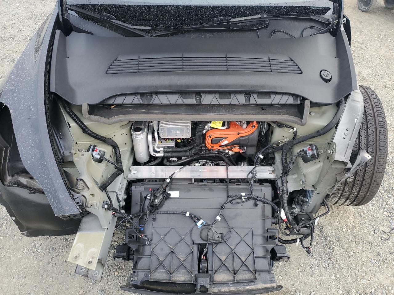 2024 Tesla Model Y VIN: 7SAYGDEE8RF155892 Lot: 81881675