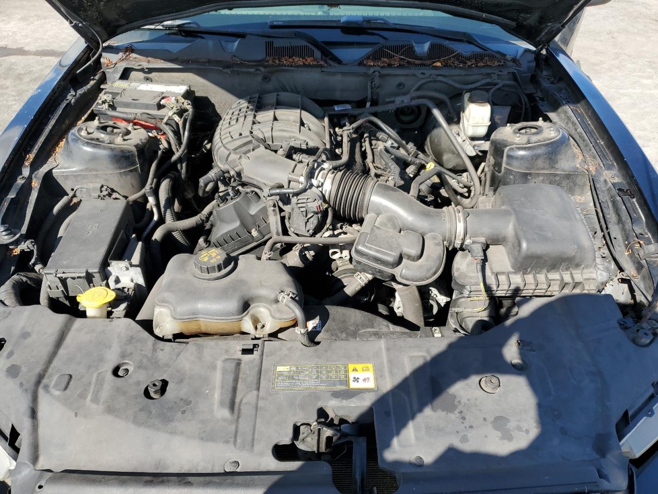 2013 Ford Mustang VIN: 1ZVBP8AM2D5218208 Lot: 82270305