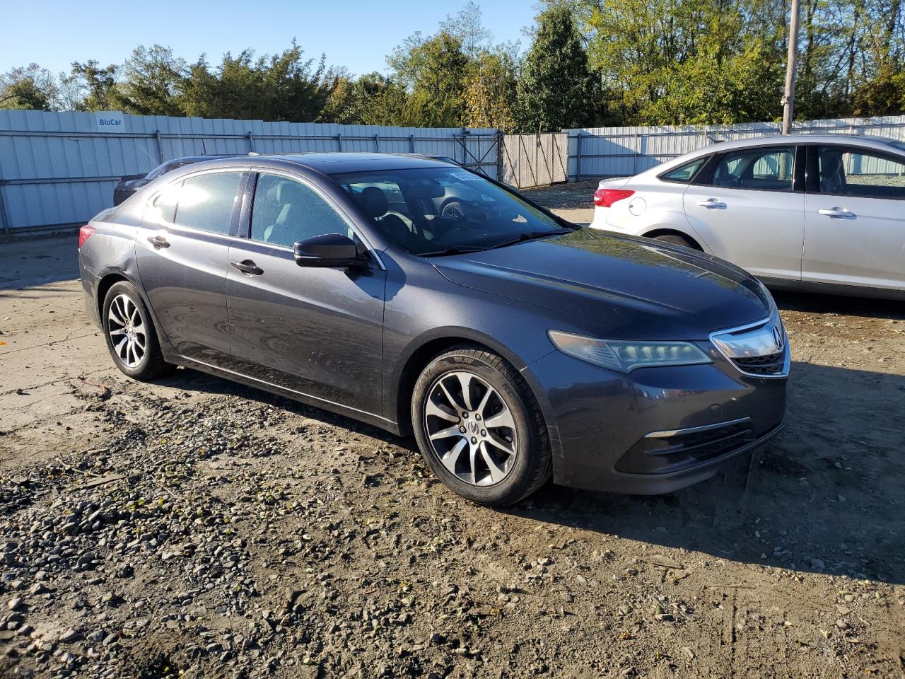 Фото: 19UUB1F38FA019094