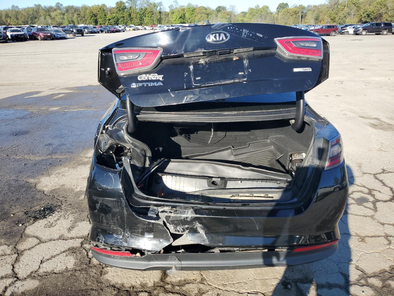 2014 Kia Optima Hybrid VIN: KNAGM4AD0E5070049 Lot: 84774545