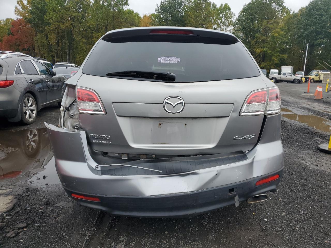 2009 Mazda Cx-9 VIN: JM3TB28V390178394 Lot: 85362855