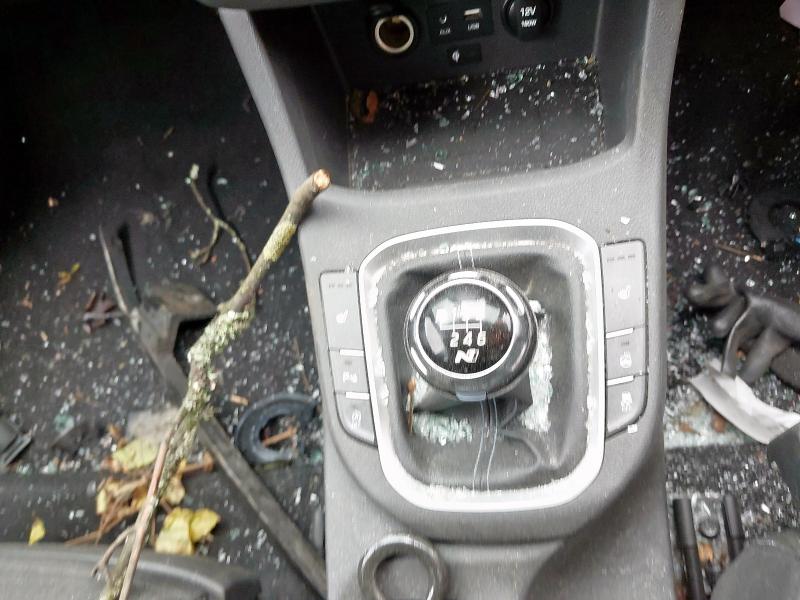 2019 HYUNDAI I30 2.0T GDI N PERFORMANCE 5DR