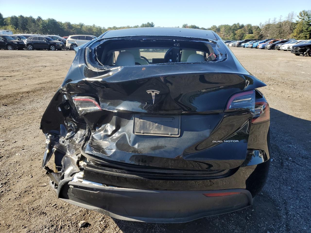 2024 Tesla Model Y VIN: 7SAYGDEE6RF149735 Lot: 85710545