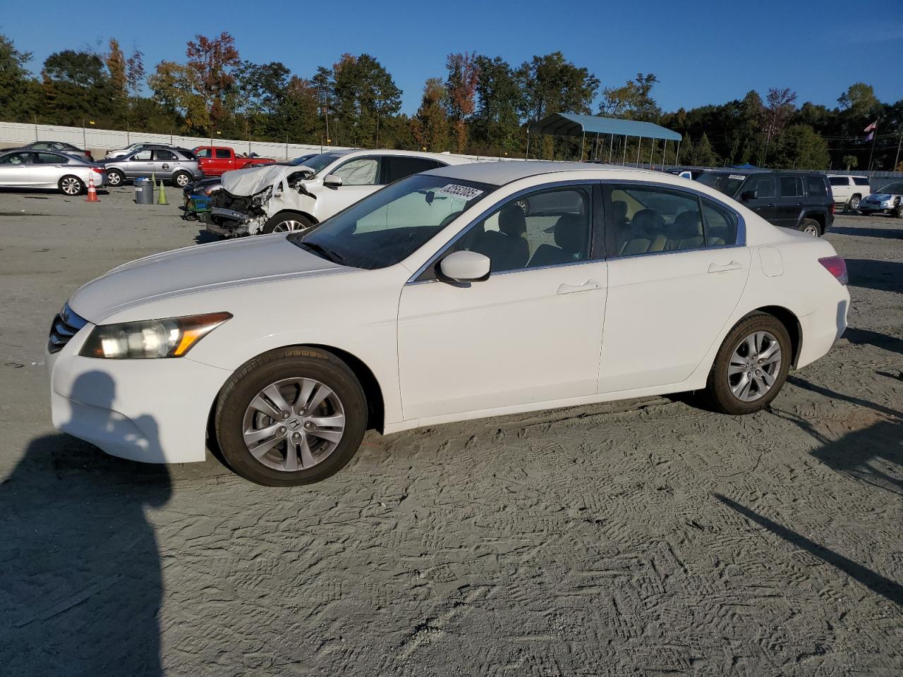 2011 Honda Accord Se