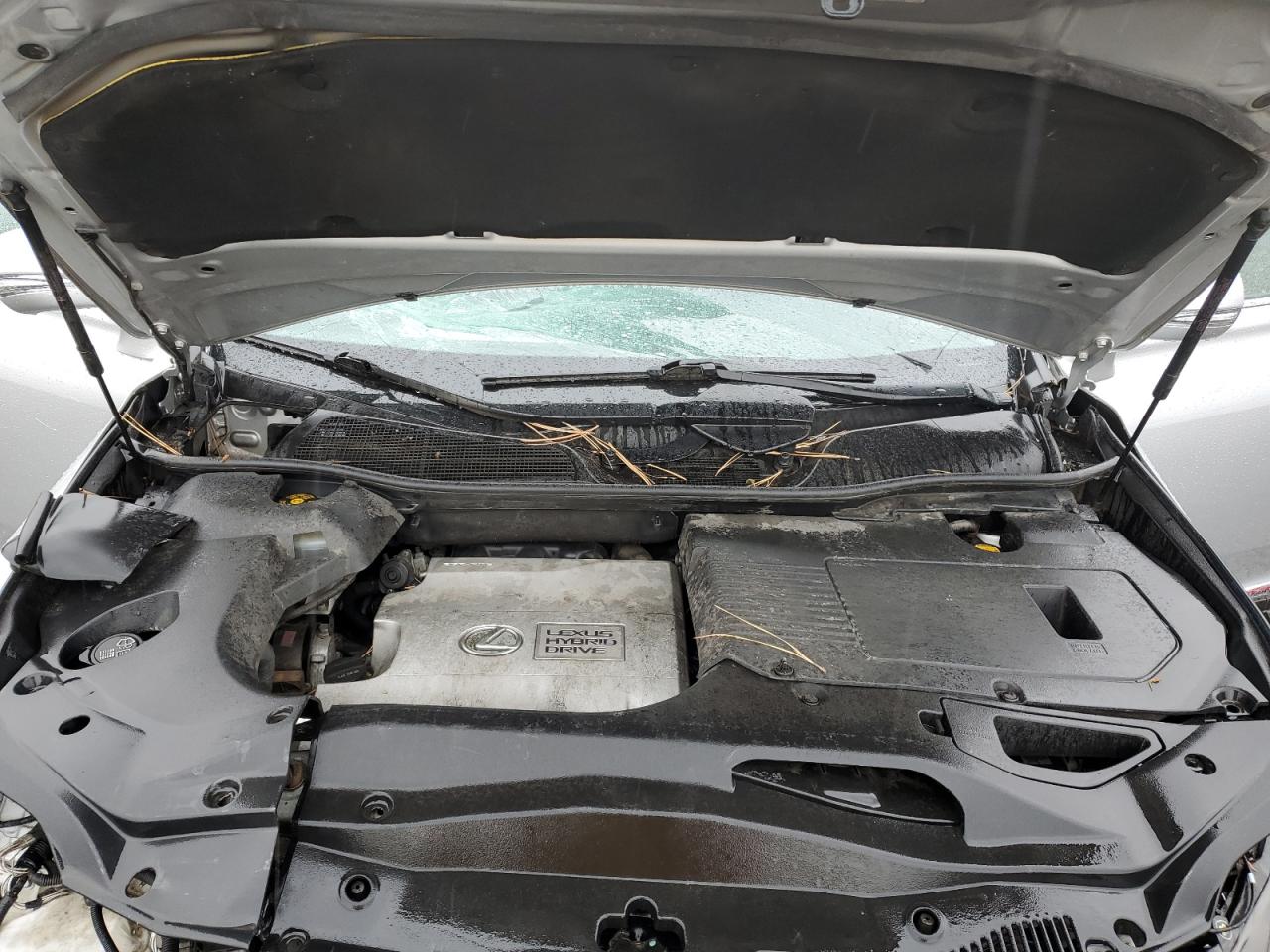 2013 Lexus Rx 450H VIN: JTJBC1BA9D2438003 Lot: 85153695