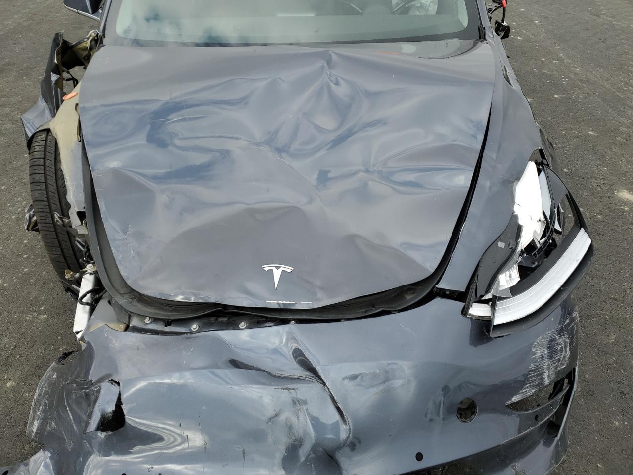 2019 Tesla Model 3 VIN: 5YJ3E1EA6KF400204 Lot: 87478185