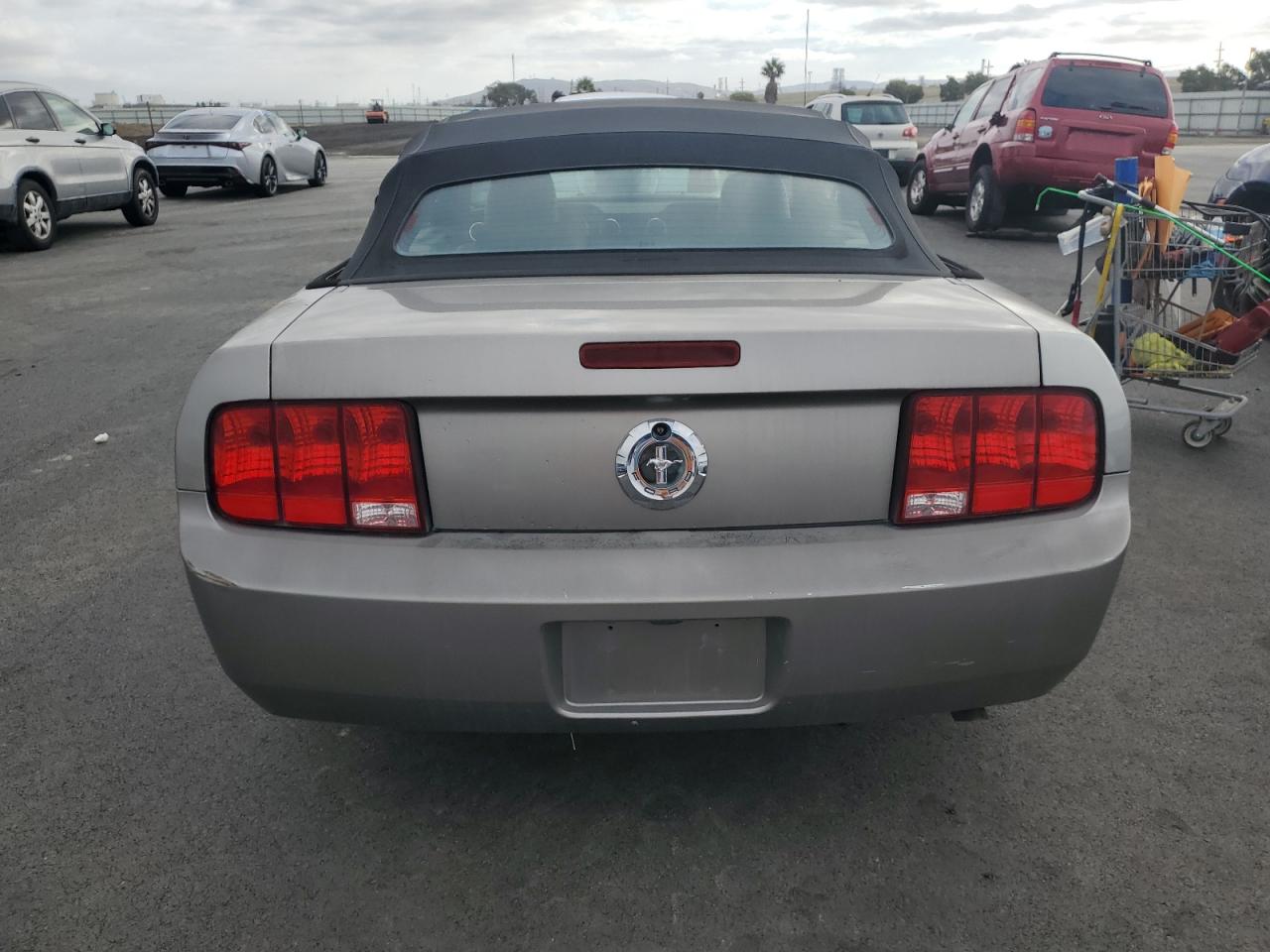 2008 Ford Mustang VIN: 1ZVHT84N485178956 Lot: 87482855