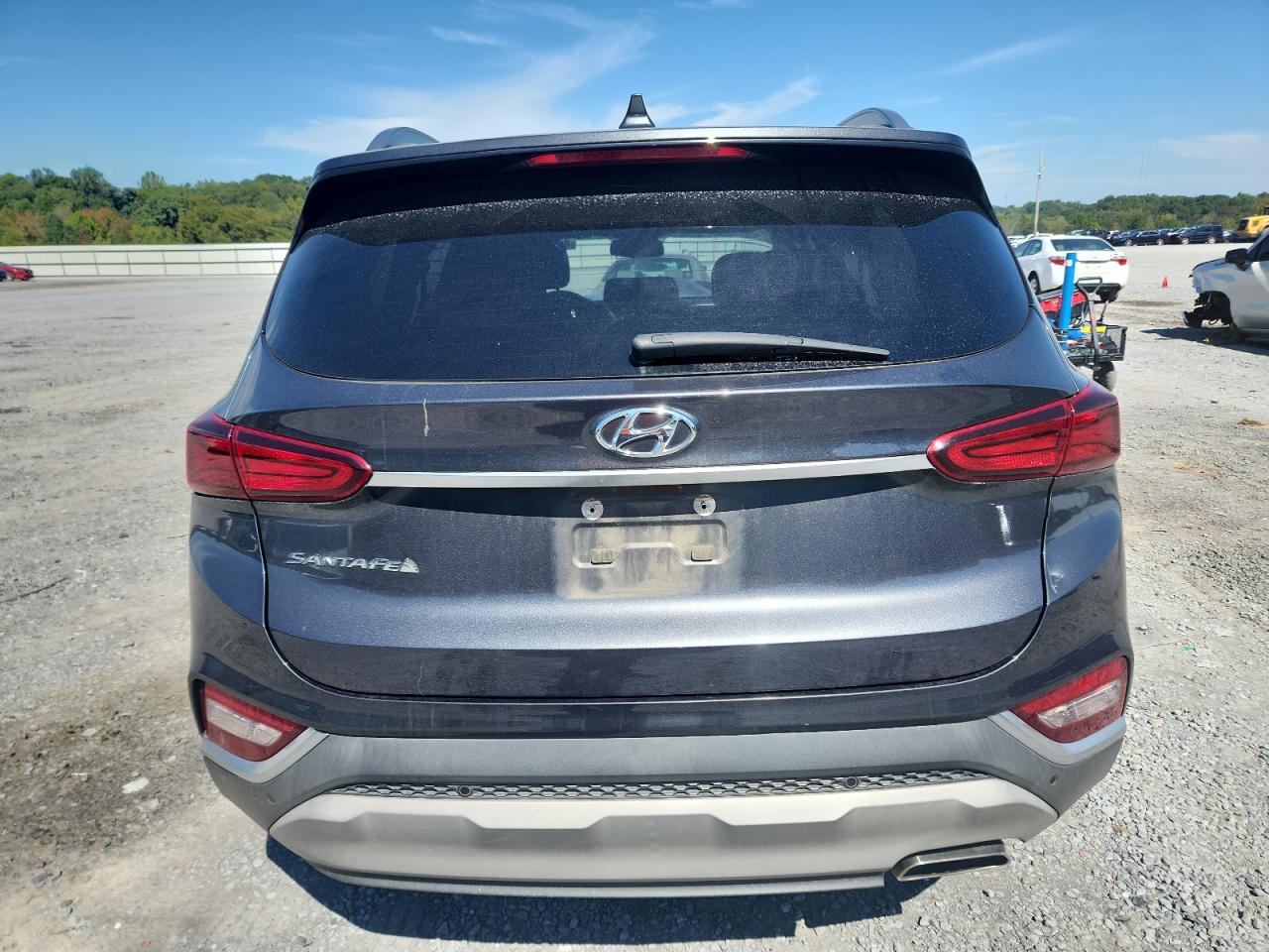 2020 Hyundai Santa Fe Sel VIN: 5NMS33AD8LH203886 Lot: 81980555