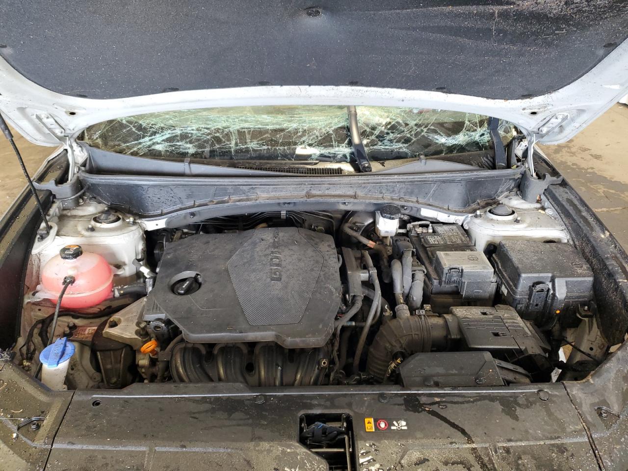 2023 Hyundai Tucson Se VIN: 5NMJACAE9PH290620 Lot: 86178495