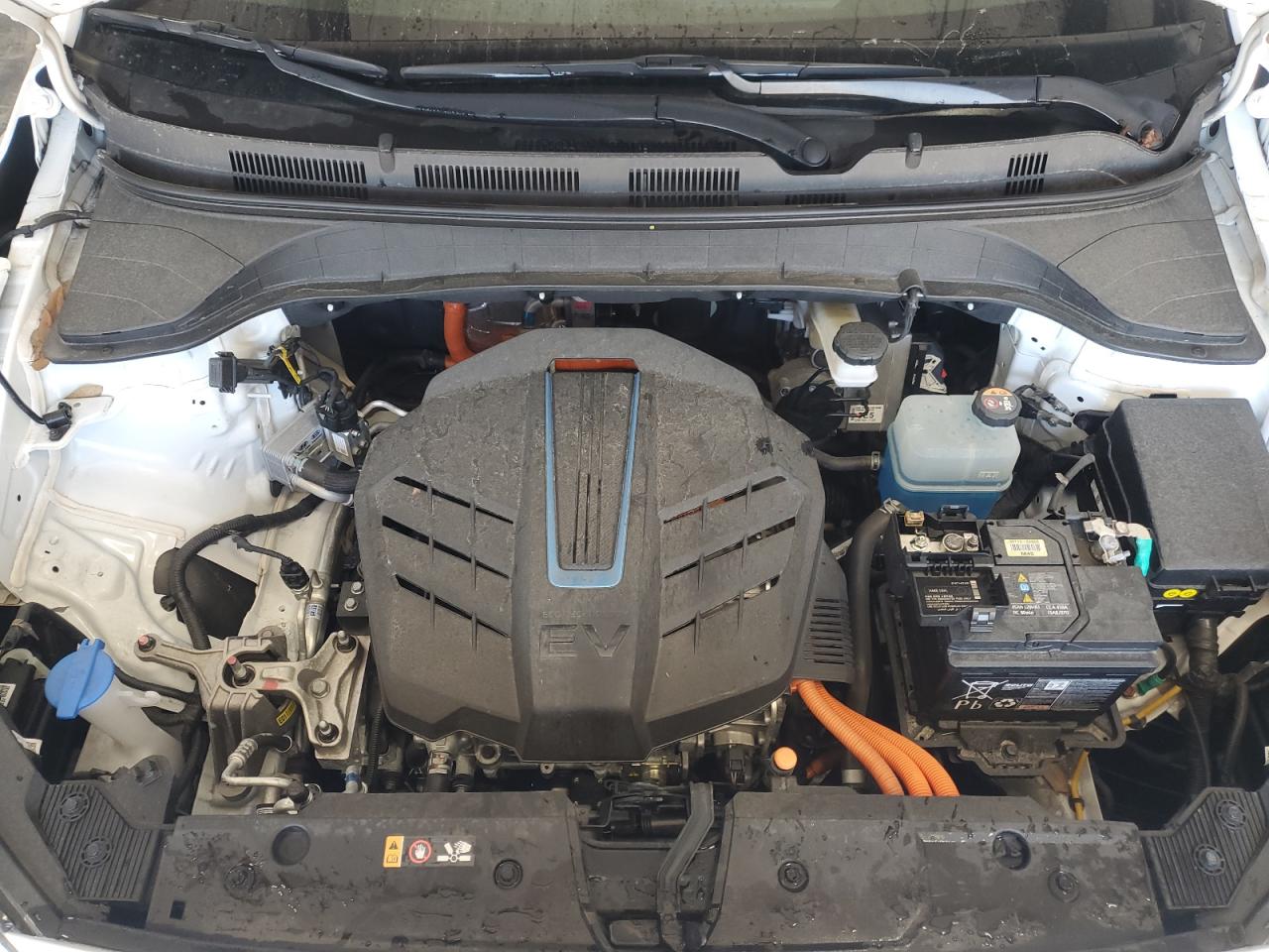 2023 Hyundai Kona Se VIN: KM8K23AG4PU189945 Lot: 89884405