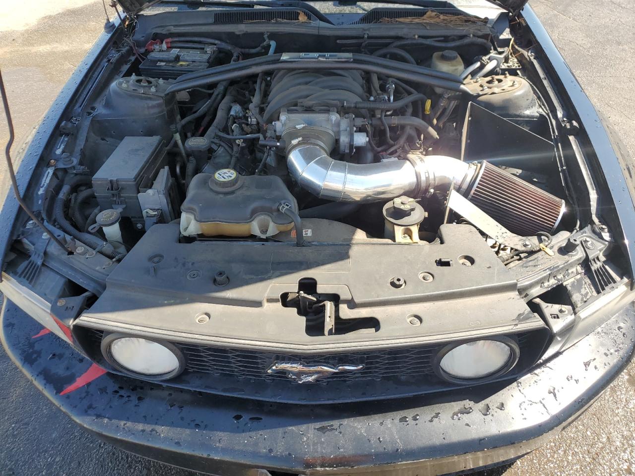 2007 Ford Mustang Gt VIN: 1ZVFT85H675233115 Lot: 84927105