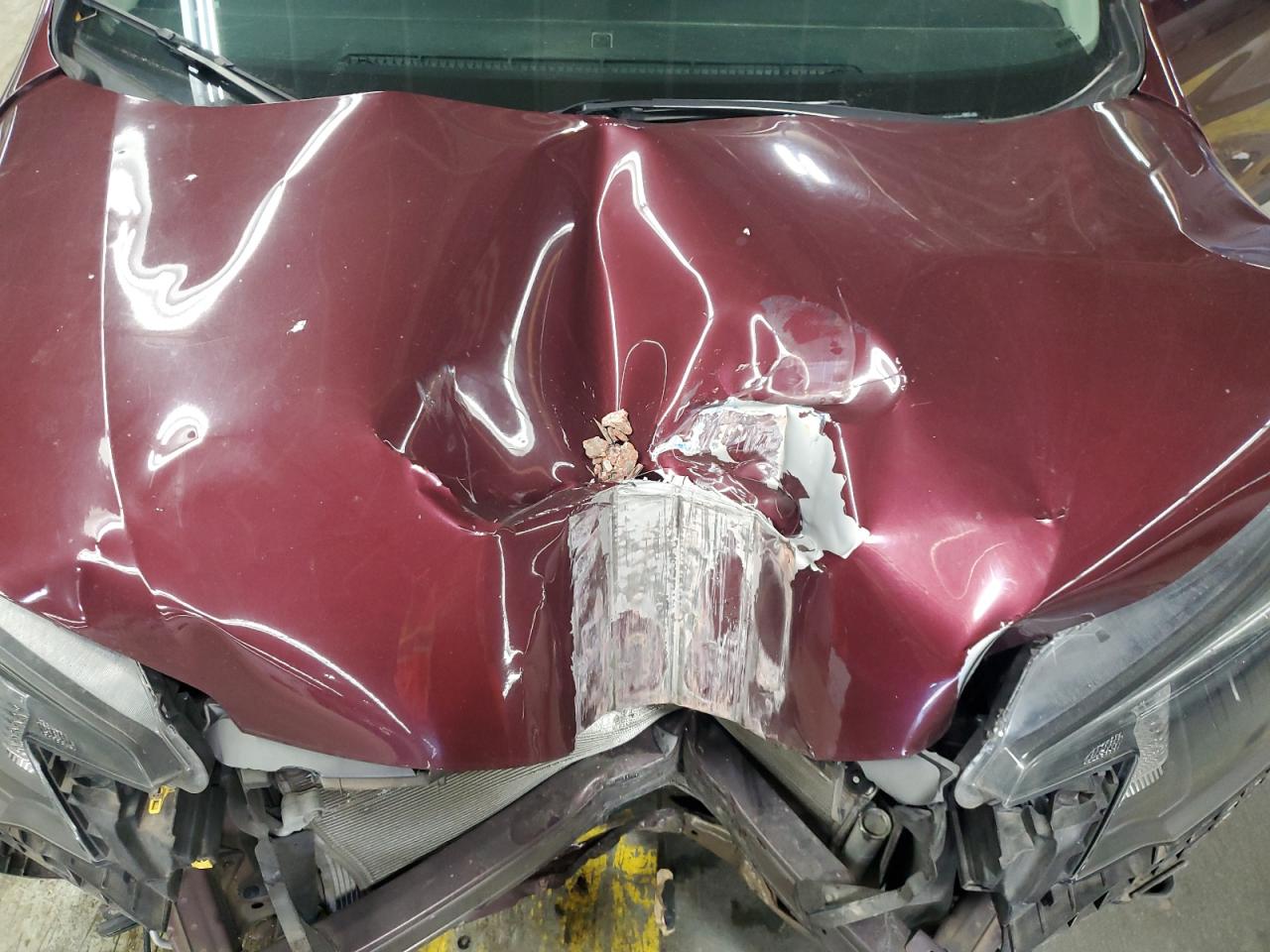 2013 Honda Cr-V Exl VIN: 5J6RM4H77DL031846 Lot: 89925505