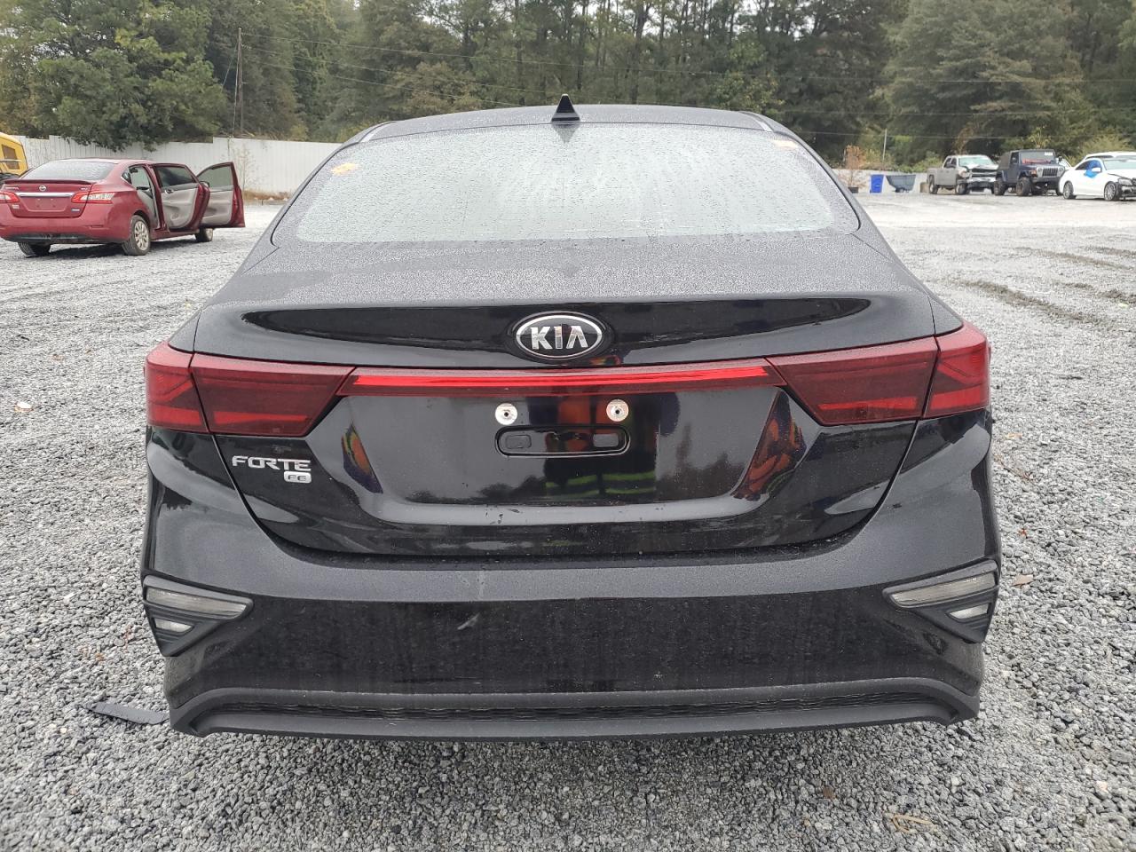 2019 Kia Forte Fe VIN: 3KPF24AD4KE013972 Lot: 90134395