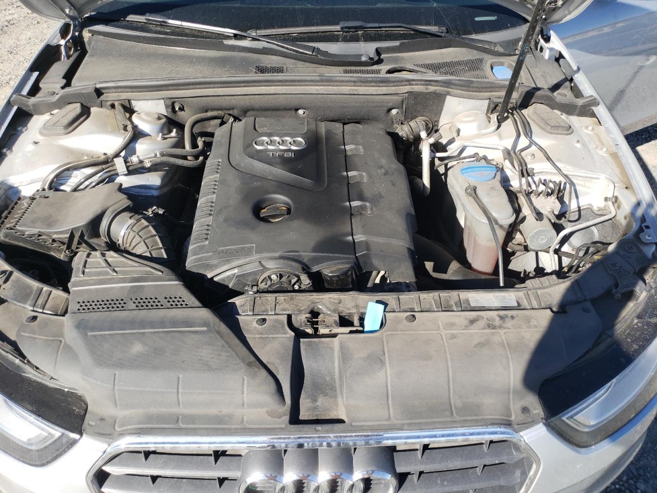 2013 Audi A4 Premium Plus VIN: WAUFFAFL0DN020206 Lot: 82593395