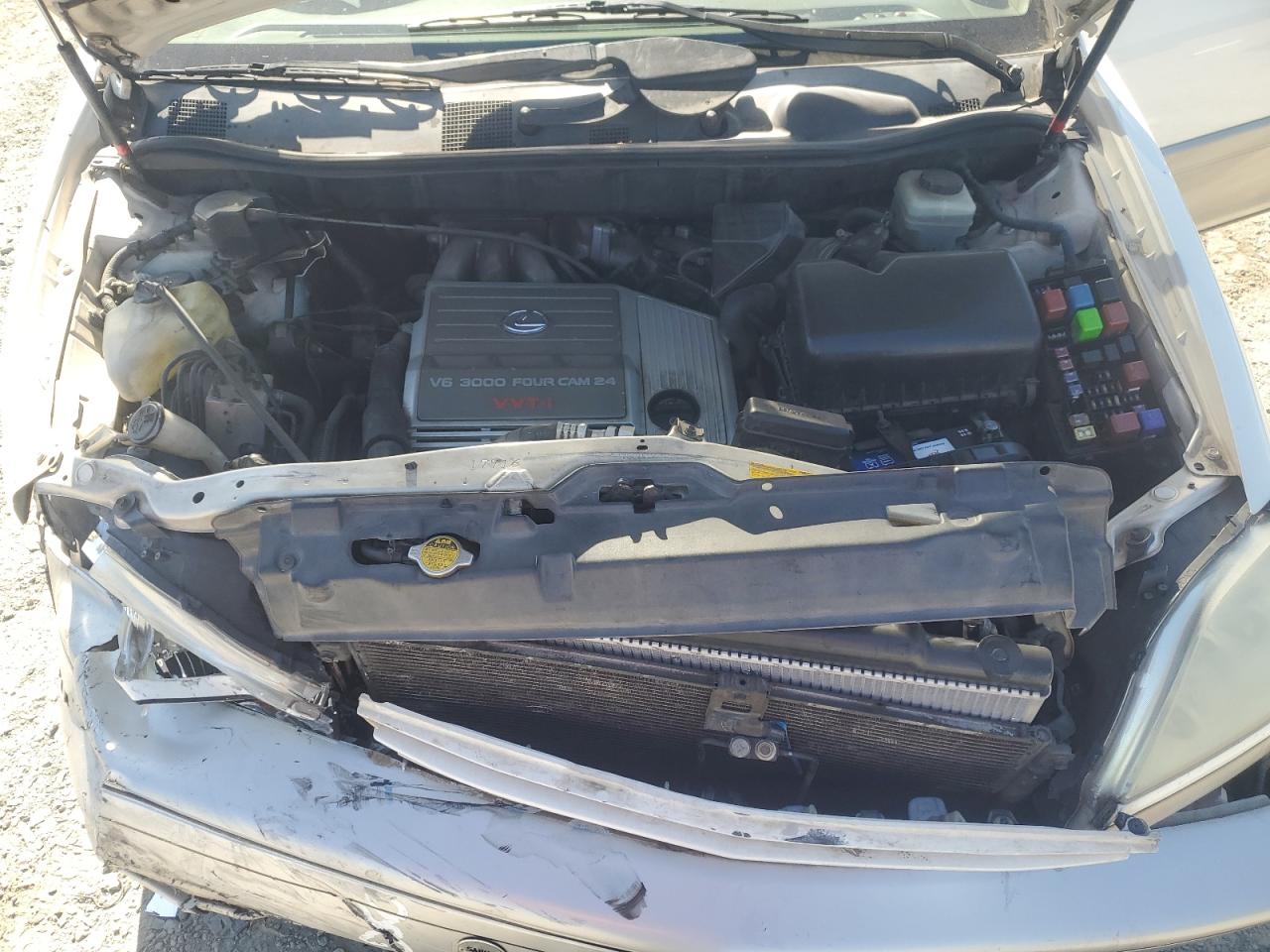 2001 Lexus Rx 300 VIN: JTJGF10U710101007 Lot: 85716825