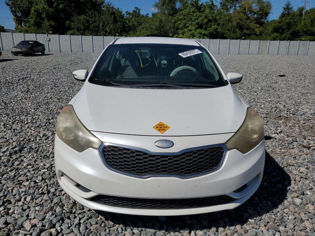 2014 Kia Forte Ex VIN: KNAFX4A88E5078955 Lot: 86438975