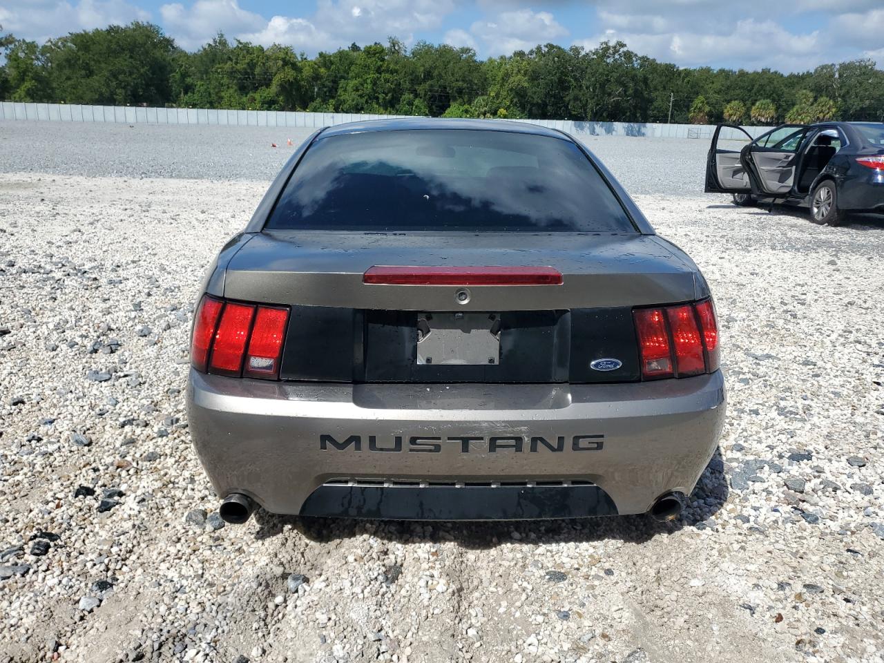 2002 Ford Mustang Gt VIN: 1FAFP42X82F192037 Lot: 84775895