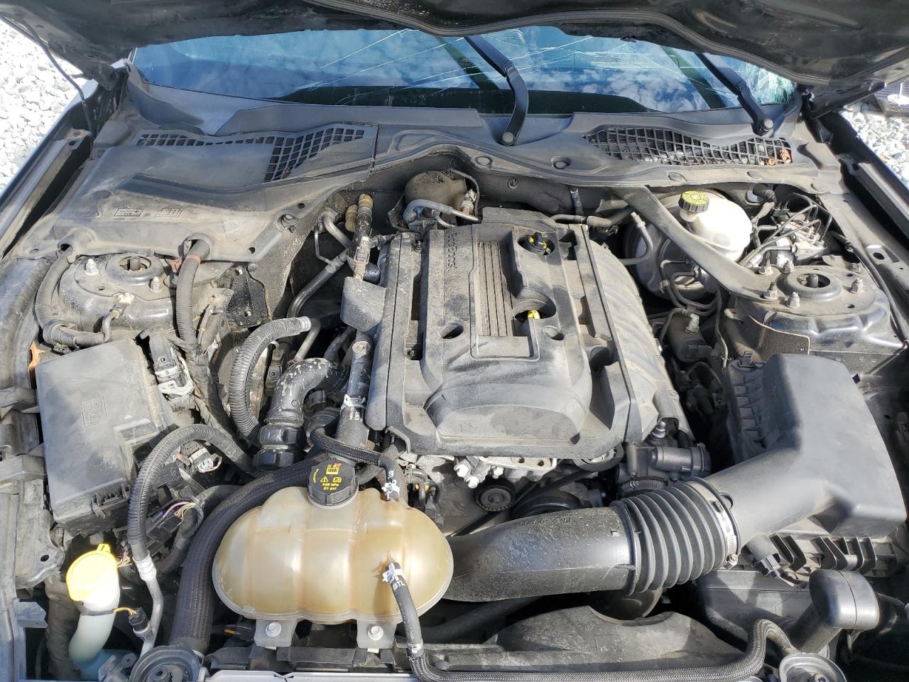 2019 Ford Mustang VIN: 1FATP8UH3K5172316 Lot: 82479685