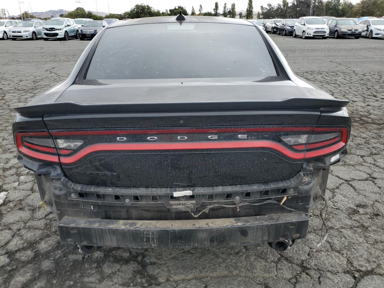2019 Dodge Charger R/T VIN: 2C3CDXCT8KH519249 Lot: 84902845