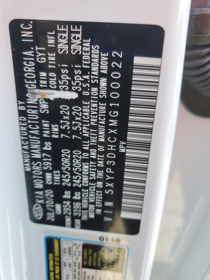 2021 Kia Telluride Ex VIN: 5XYP3DHCXMG100022 Lot: 84913965