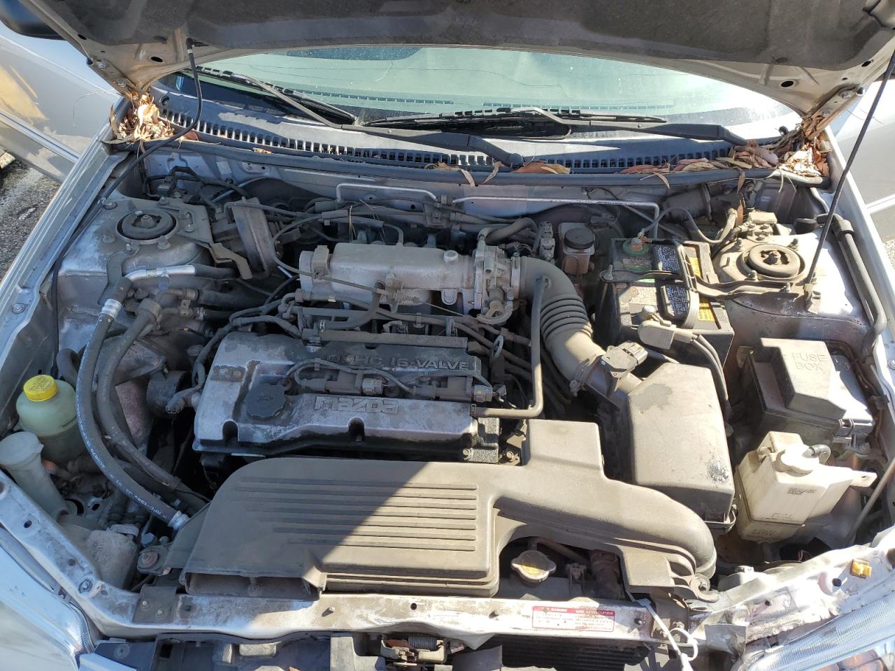 2000 Mazda Protege Dx VIN: JM1BJ2229Y0240207 Lot: 89847325