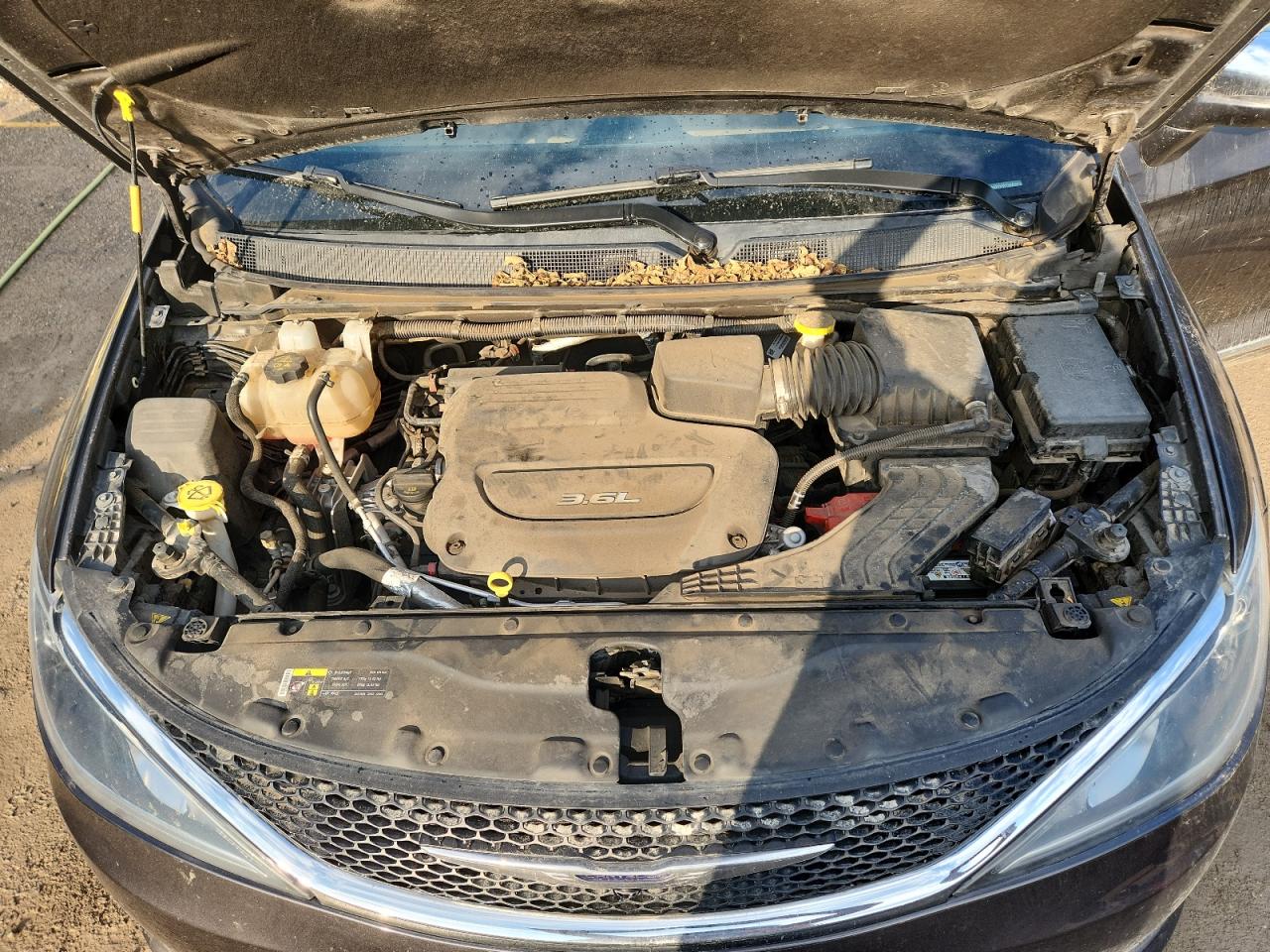 2017 Chrysler Pacifica Limited VIN: 2C4RC1GG8HR531696 Lot: 81576685