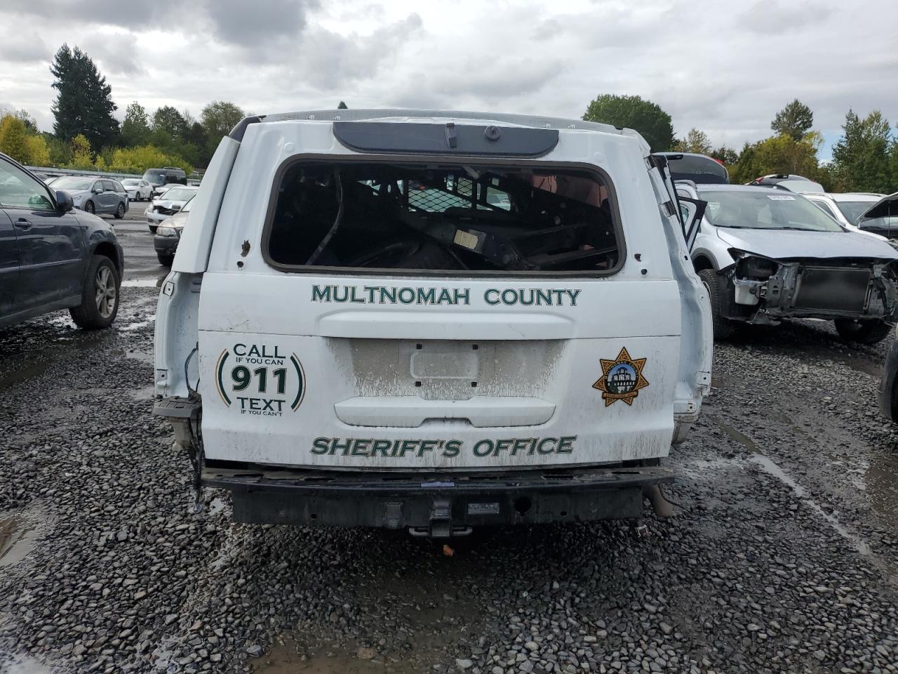 2019 Chevrolet Tahoe Police VIN: 1GNSKDEC0KR394019 Lot: 84979275