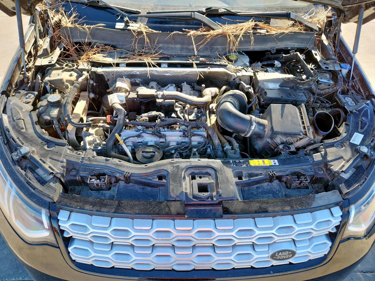 2020 Land Rover Discovery Sport S VIN: SALCJ2FX7LH851091 Lot: 90649175