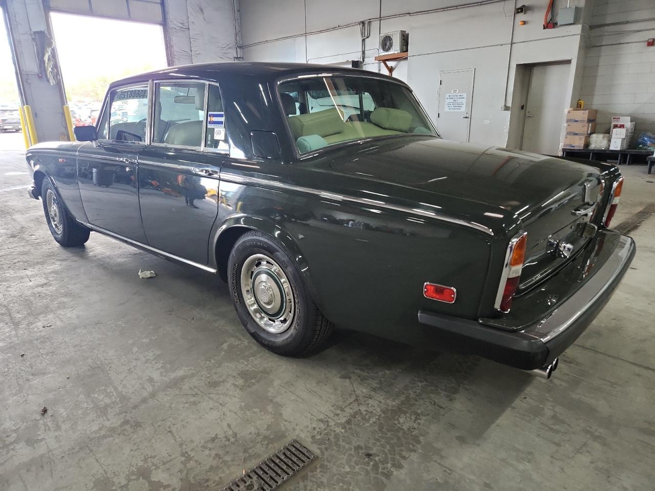Silver Shadow Silver Shadow