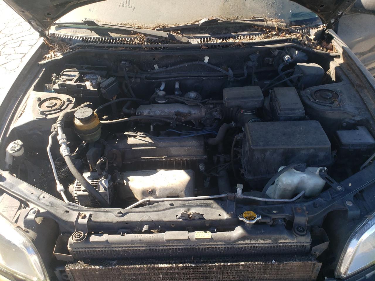 1999 Toyota Rav4 VIN: JT3GP10V2X7054952 Lot: 84706555