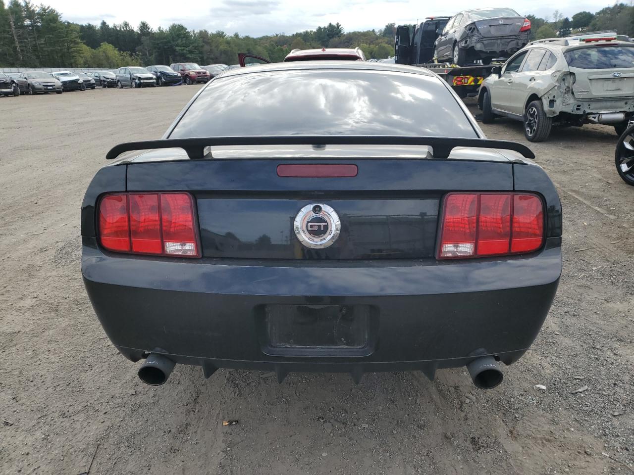 2008 Ford Mustang Gt VIN: 1ZVHT82H785159914 Lot: 82311775