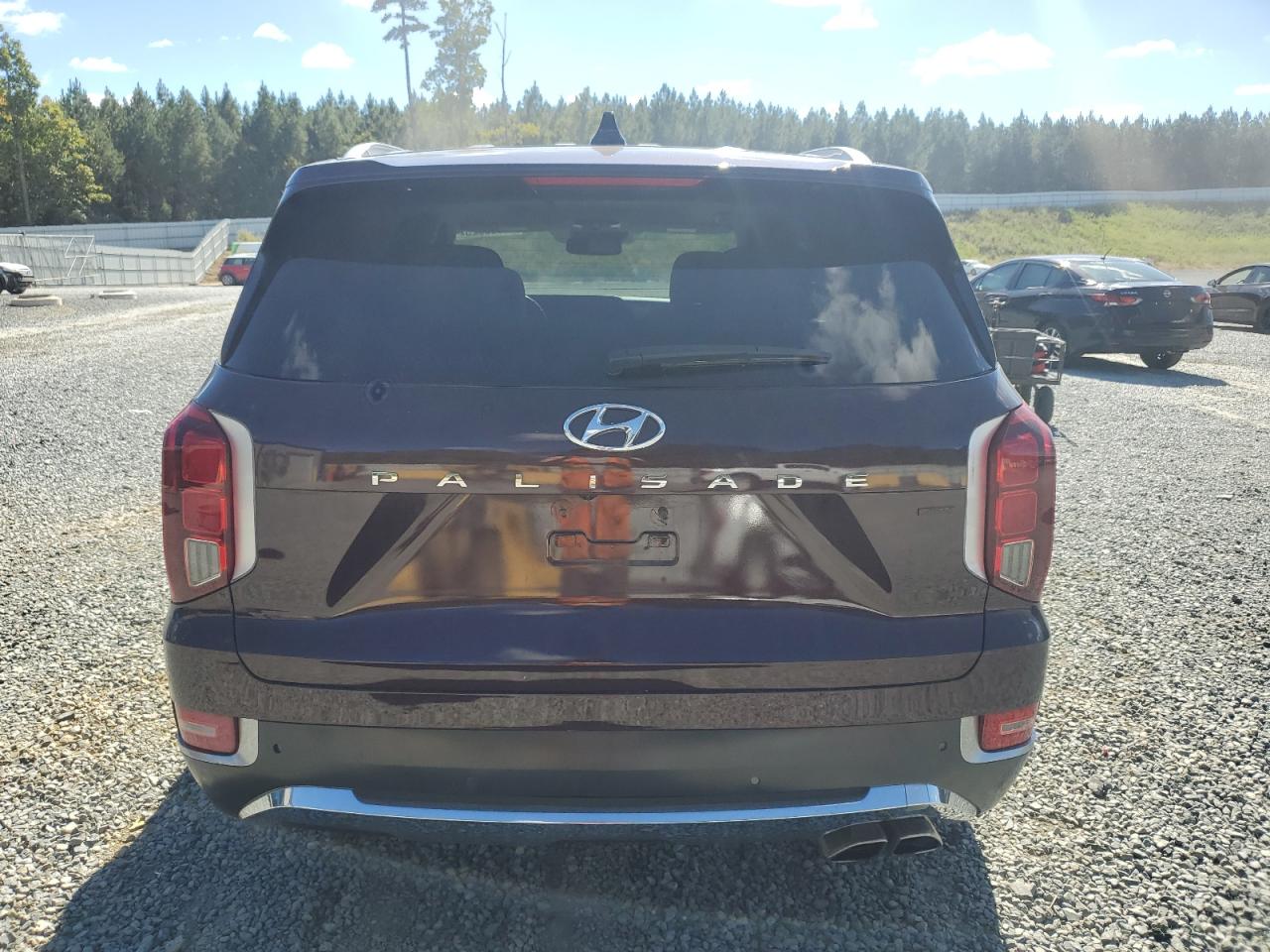 2022 Hyundai Palisade Limited VIN: KM8R5DHEXNU473559 Lot: 86665925