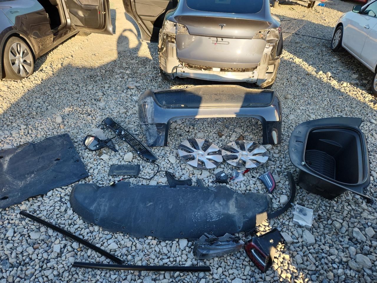 2023 Tesla Model Y VIN: 7SAYGDEE1PF921233 Lot: 85536755