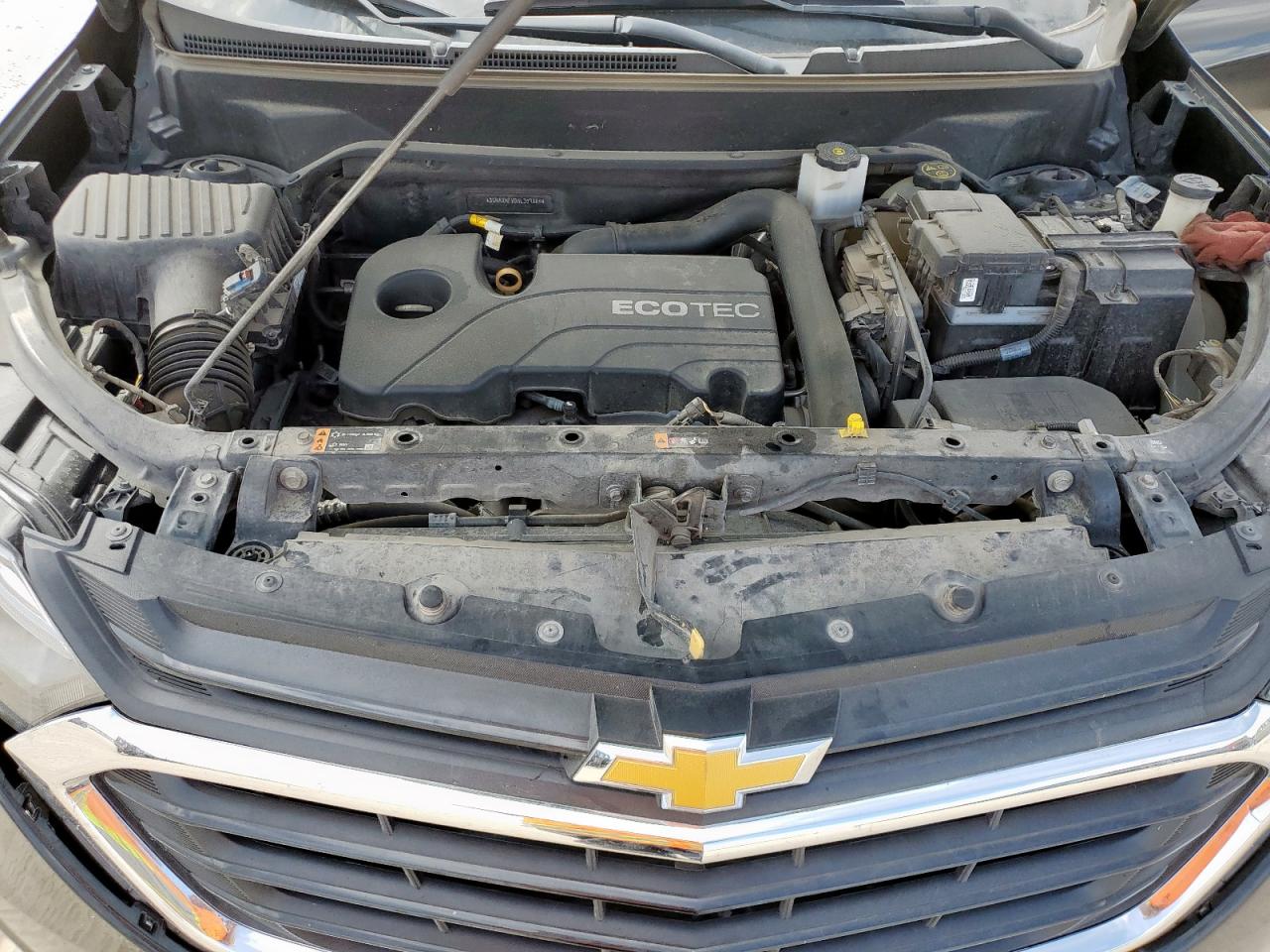 2019 Chevrolet Equinox Ls VIN: 3GNAXHEV0KL359865 Lot: 81829825