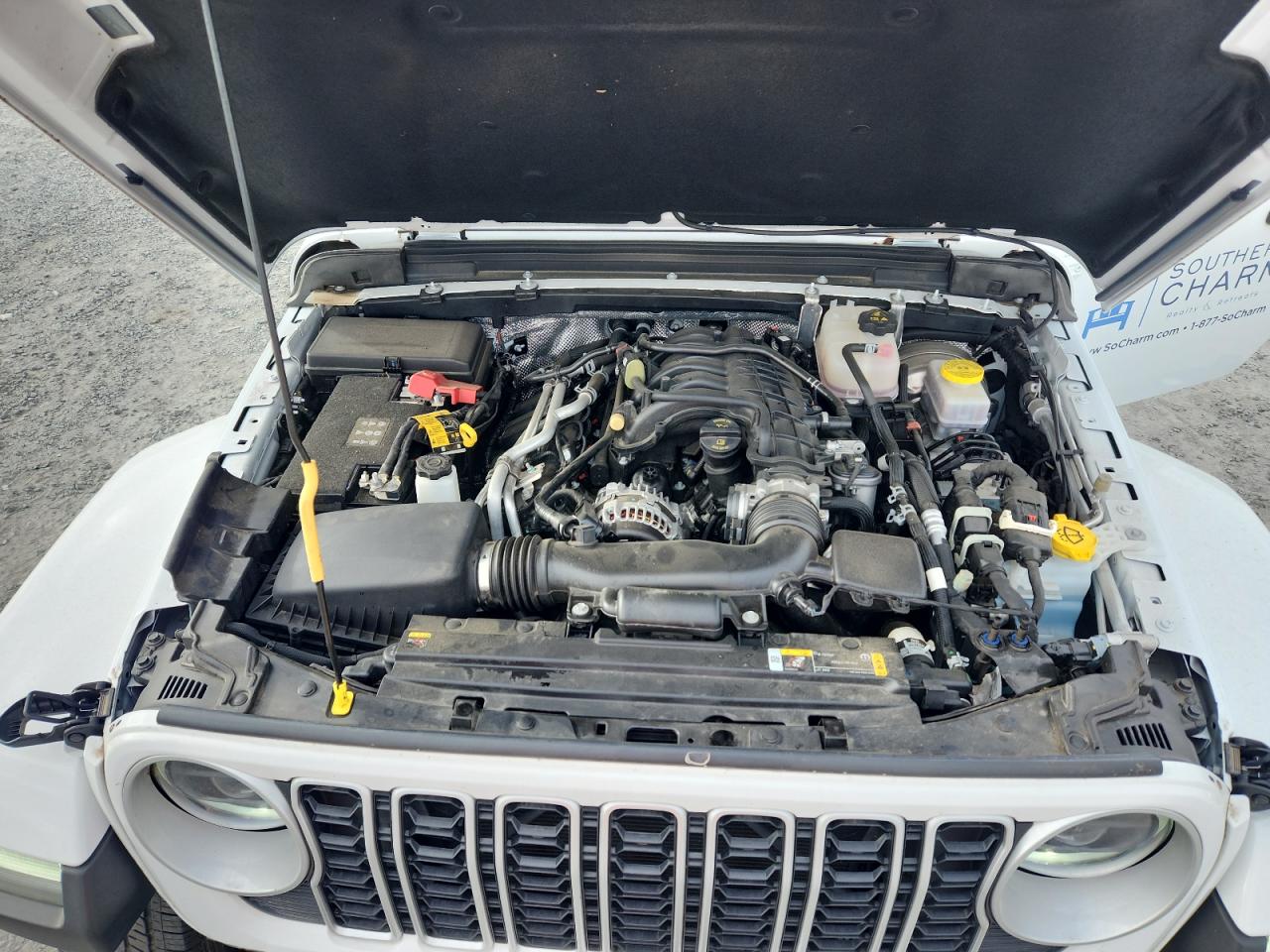 2024 Jeep Wrangler Sahara VIN: 1C4PJXEG2RW268407 Lot: 82207595