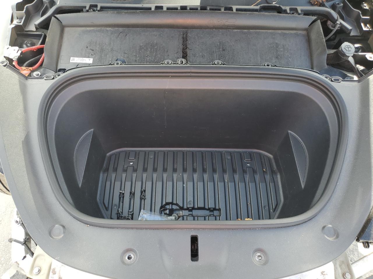 2023 Tesla Model Y VIN: 7SAYGAEE8PF959654 Lot: 80172545