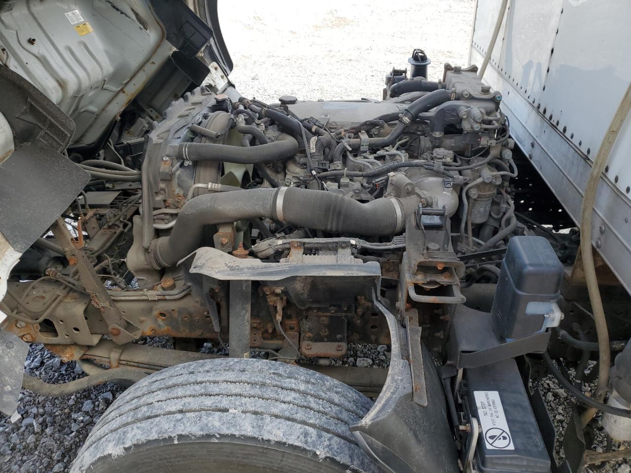 2022 Isuzu Nrr VIN: JALE5W161N7300463 Lot: 87019505